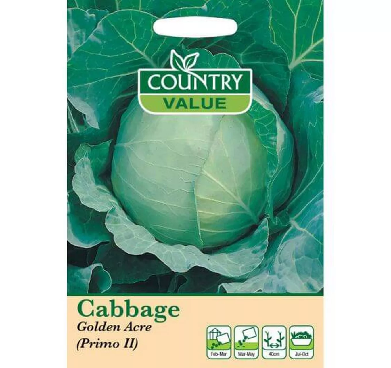 Cabbage Golden Acre (Pimo II)