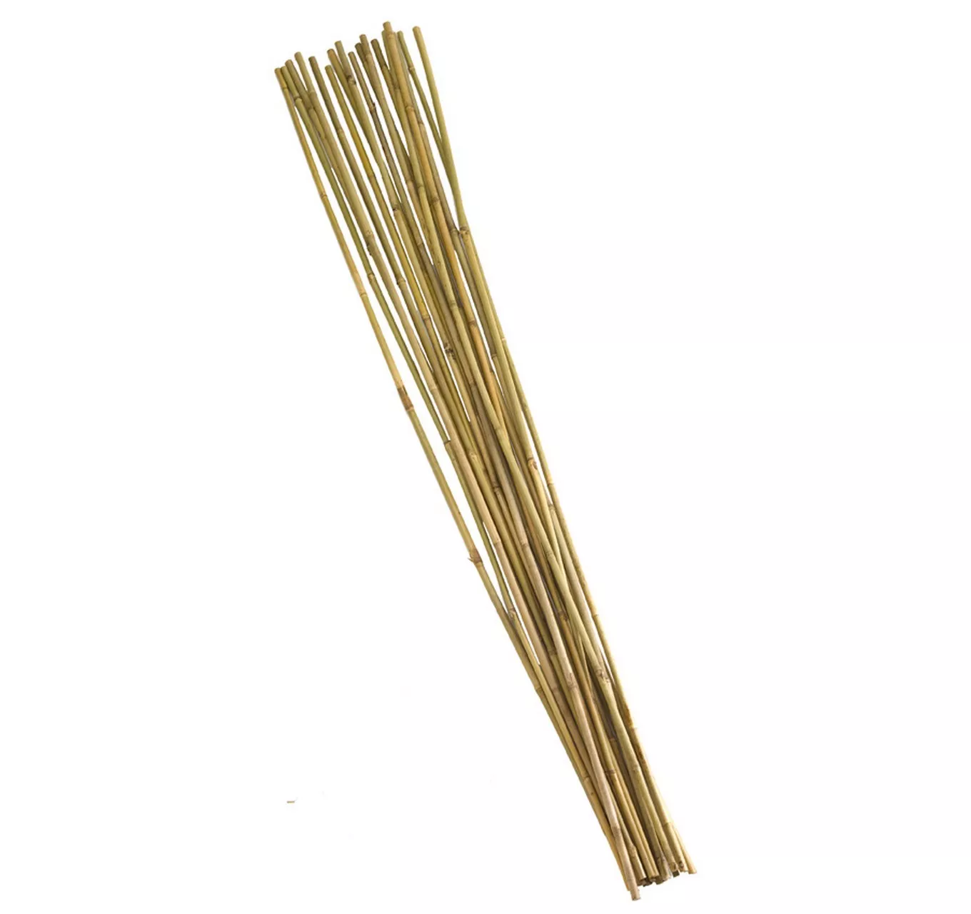 Bamboo Canes 210cm 10pk 7ft