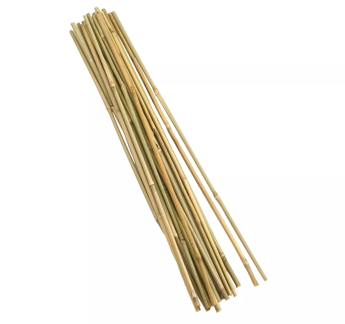 Bamboo Canes 90cm 20pk 3ft