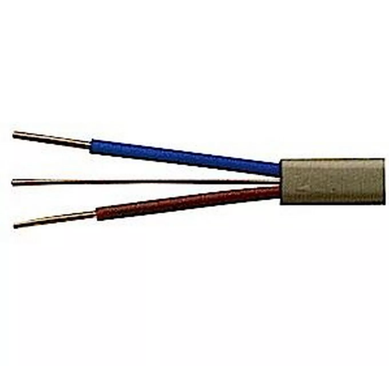 Twin & Earth Cable 1mm - 1m