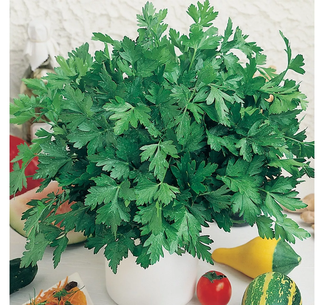 Parsley Plain Leaved 2 Country Value