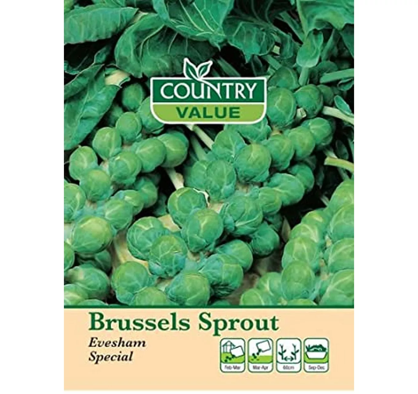 Brussells Sprout Evesham Speci