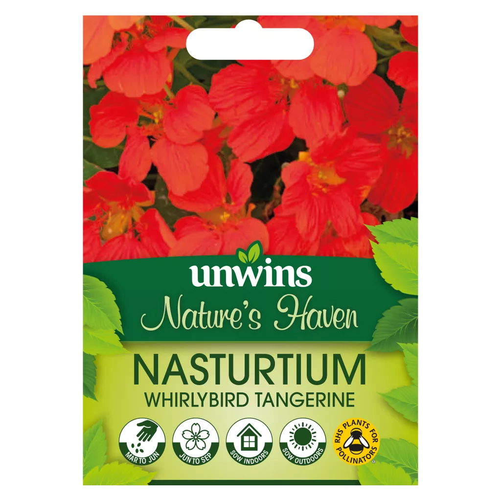 NH Nasturtium Whirlybird Tangerine