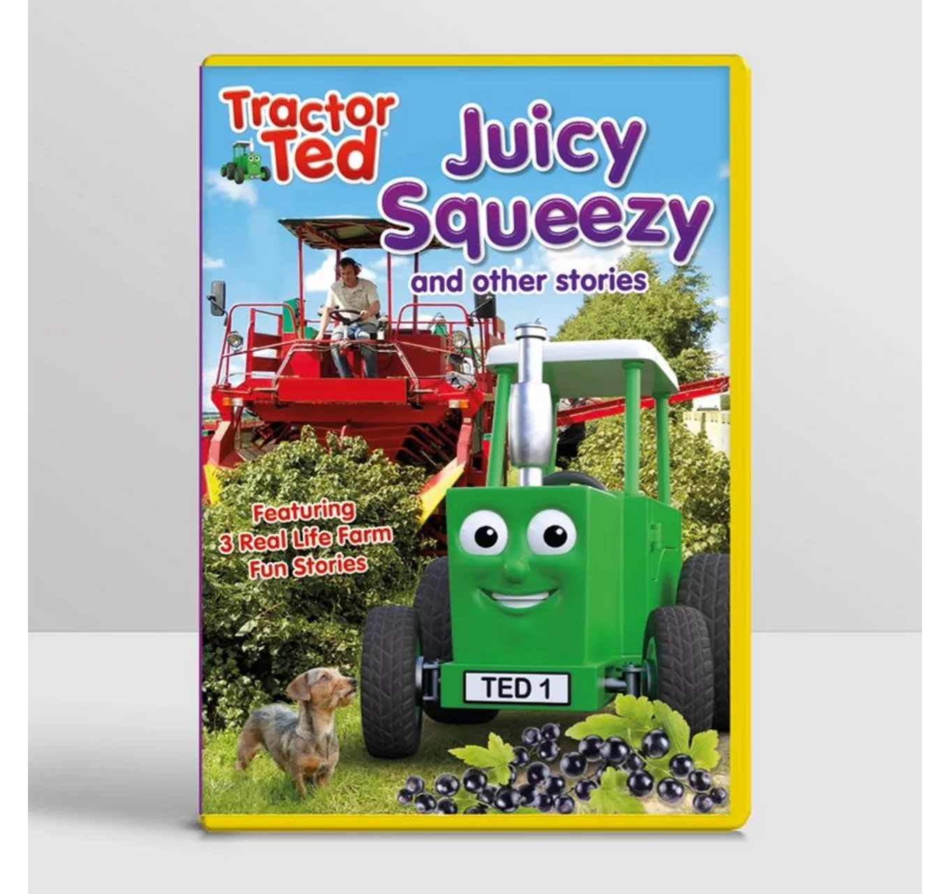 Juicy Squeezy DVD