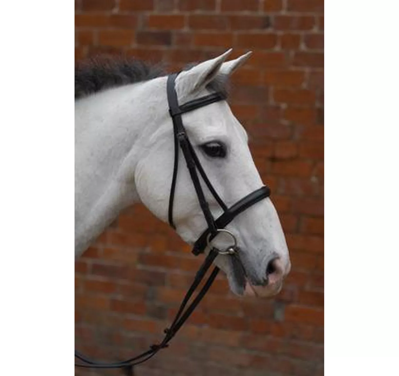 Cavesson Bridle Brown - Pony