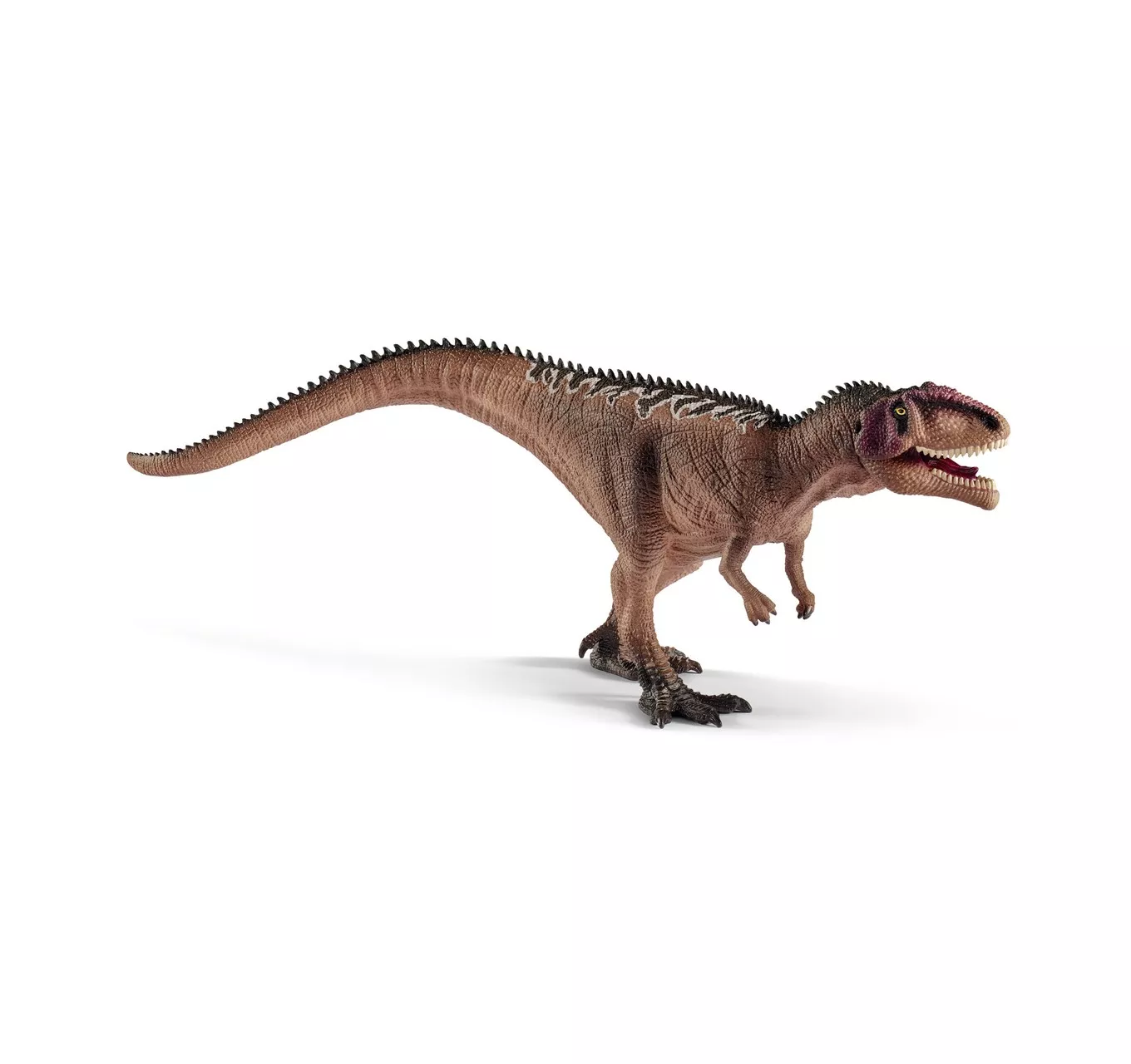 Young Giganotosaurus