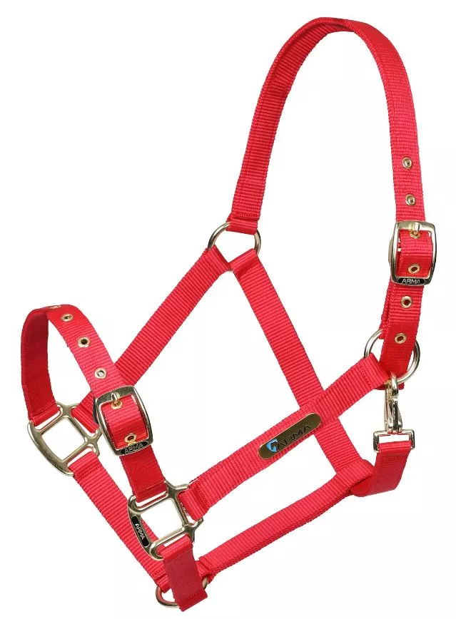 Adjustable Headcollar Red Cob