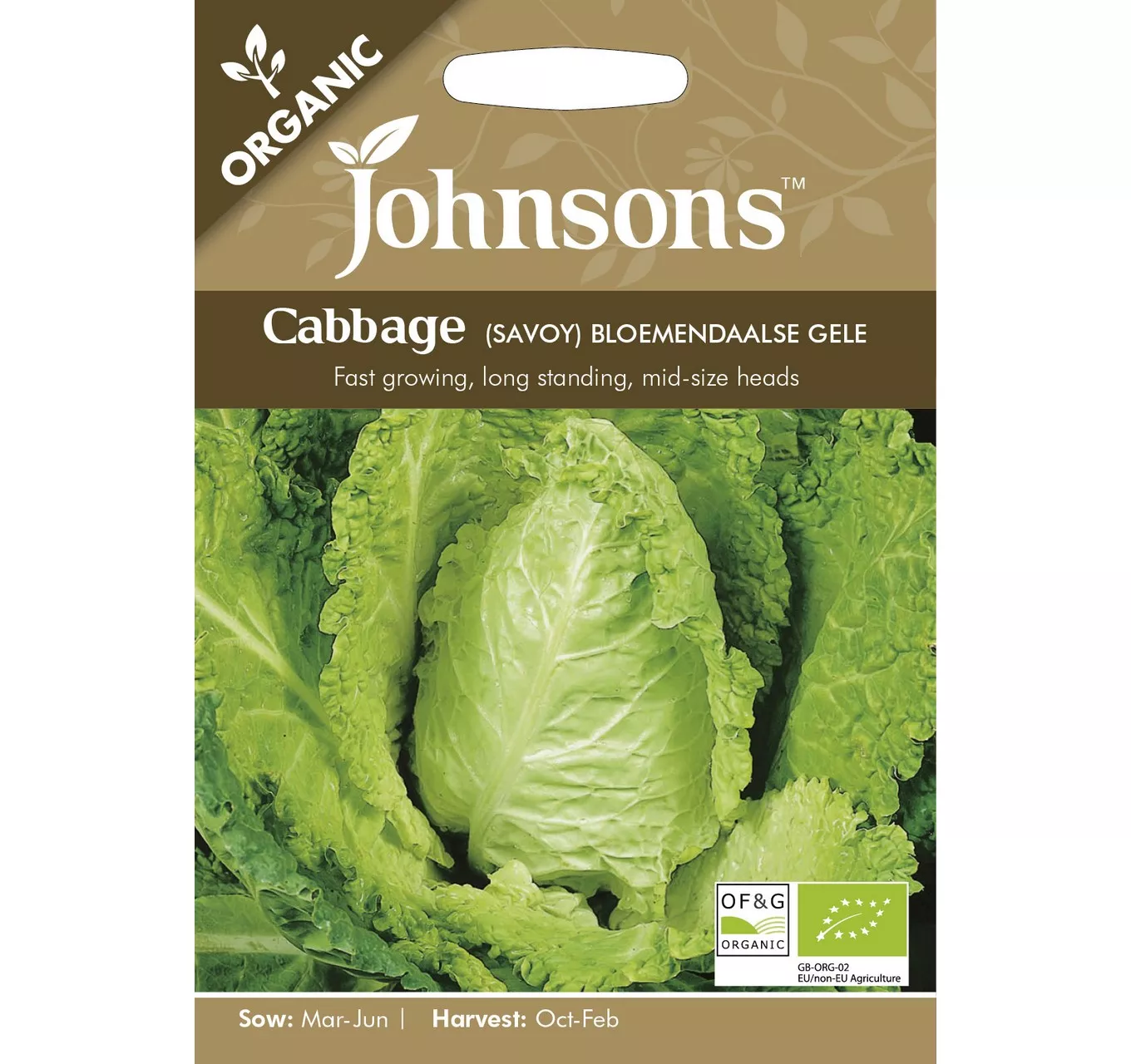 ORG Cabbage Bloemendaalse