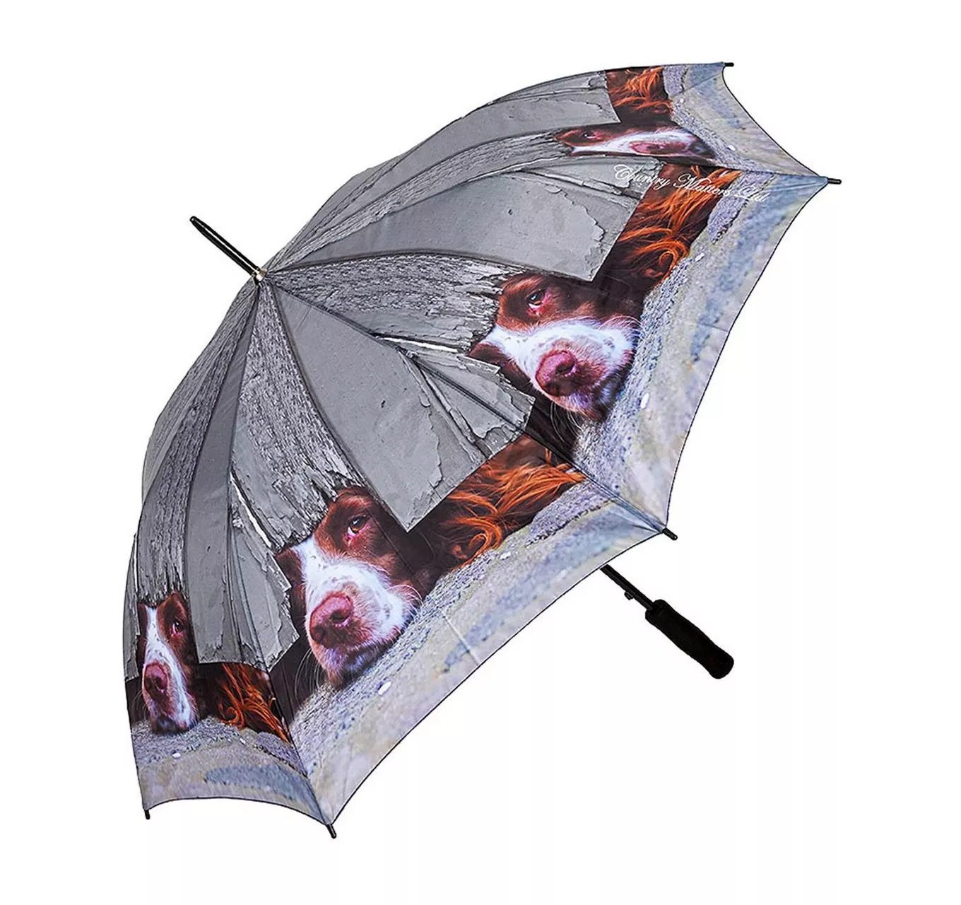 I Spy Spaniel Umbrella
