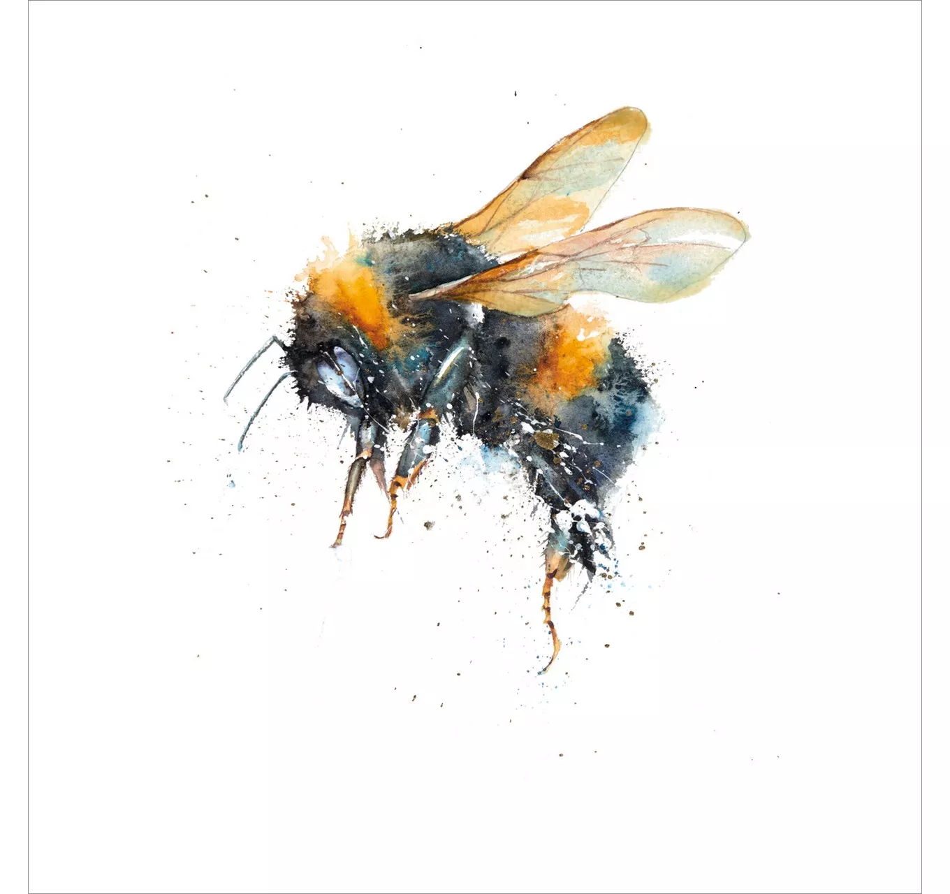 Flight of the Bumblebee - Card