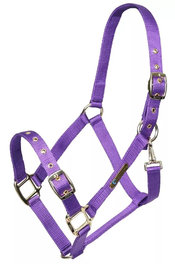 Adjustable Headcollar Purple Pony