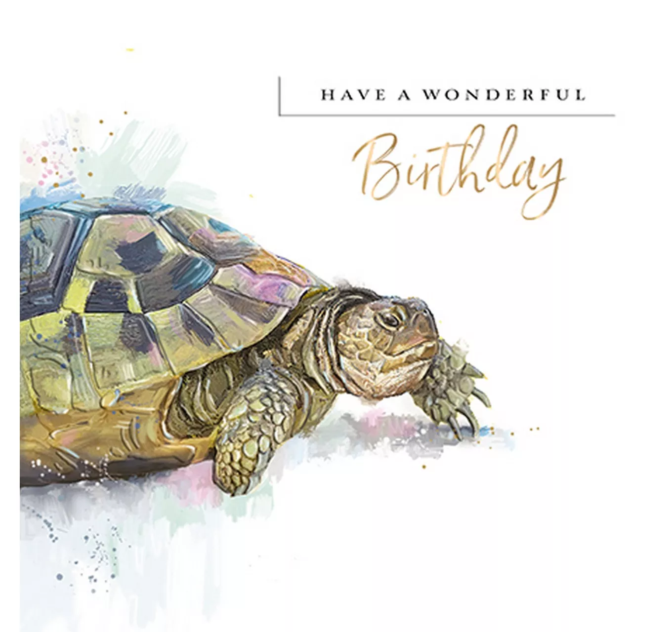 Birthday Card - A Turtley Amazing Day