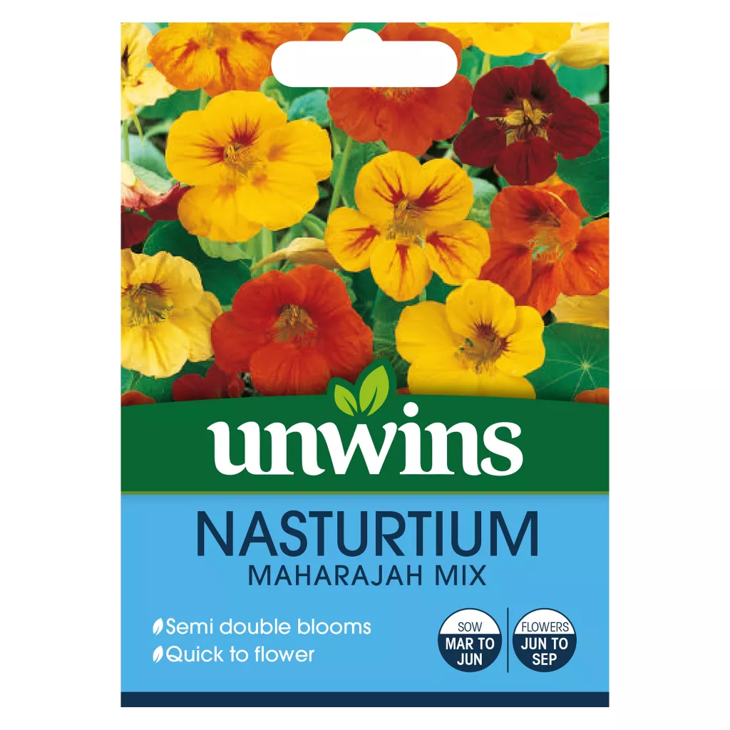 Nasturtium Maharajah Mix