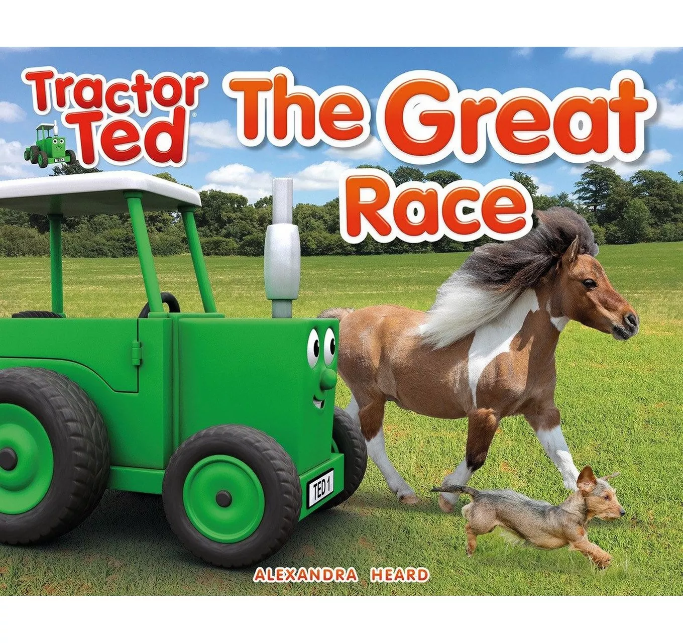 The Great Race Book
