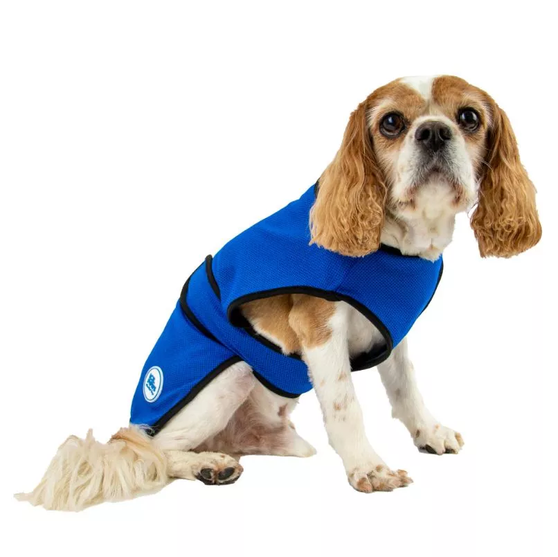 Dog Cooling Coat