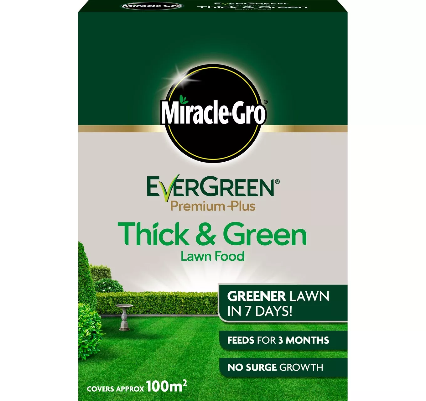 Evergreen Thick & Green 100m2