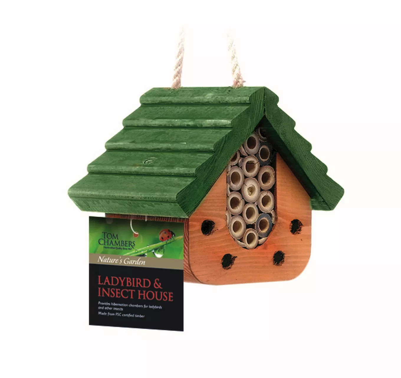 Ladybird & Insect House