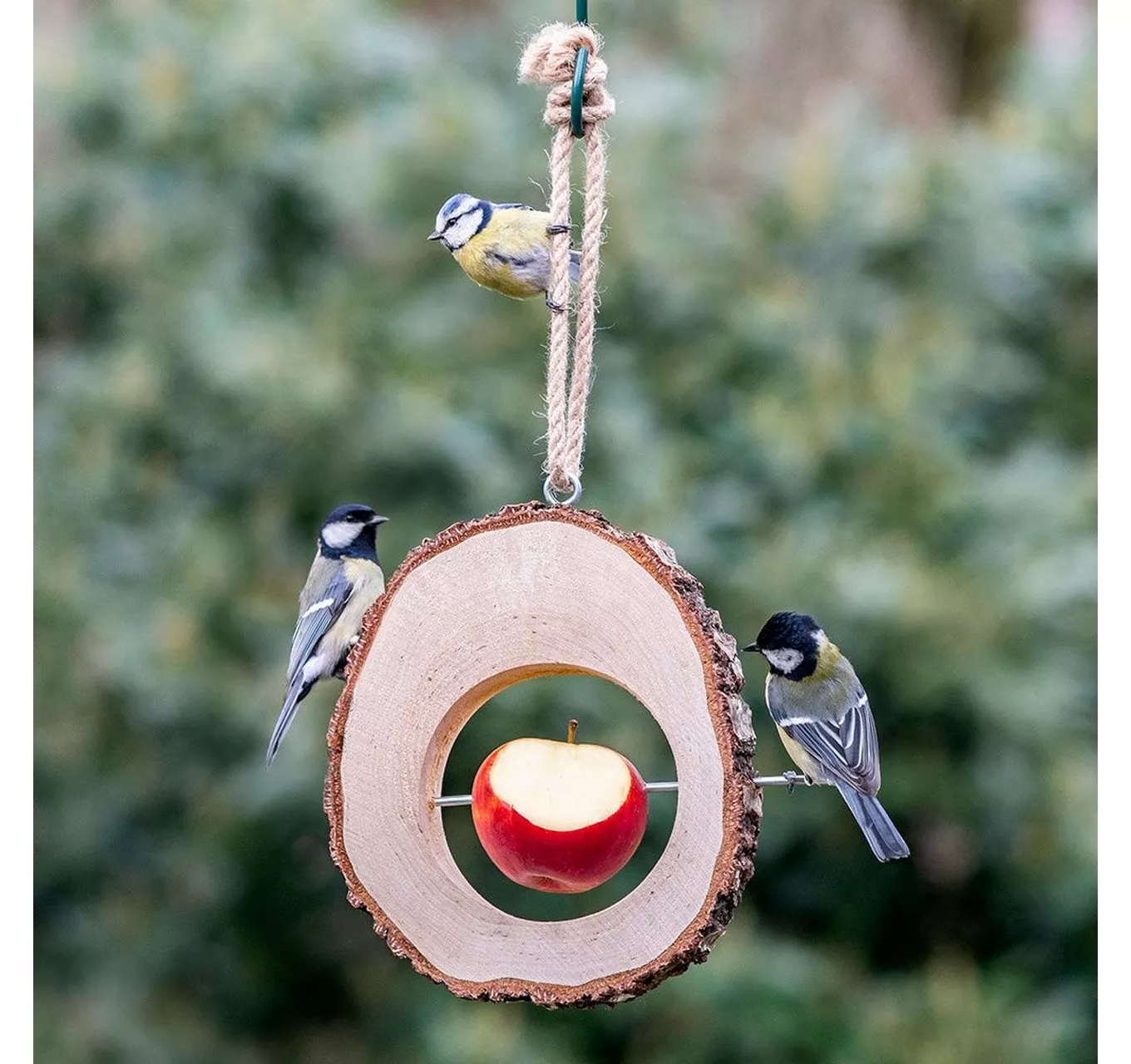 Columbus Apple Feeder