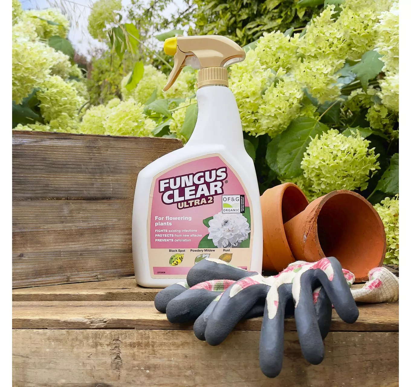 Fungus Clear Ultra Ready To Use 800Ml
