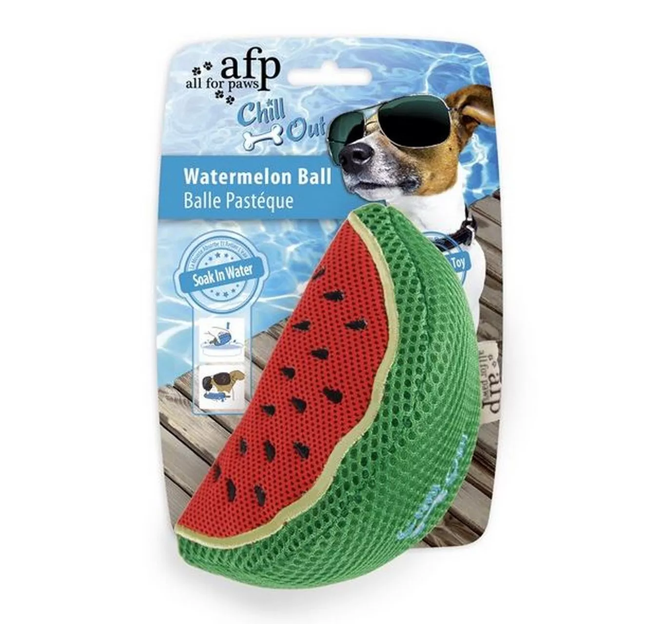 Chill Out Watermelon Slice