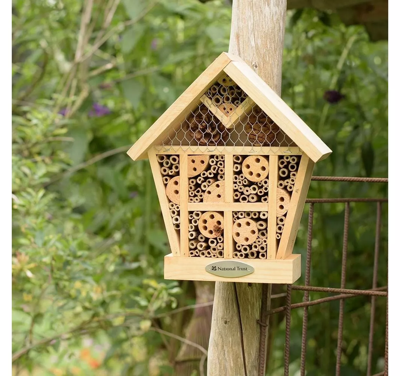 Apex Insect House