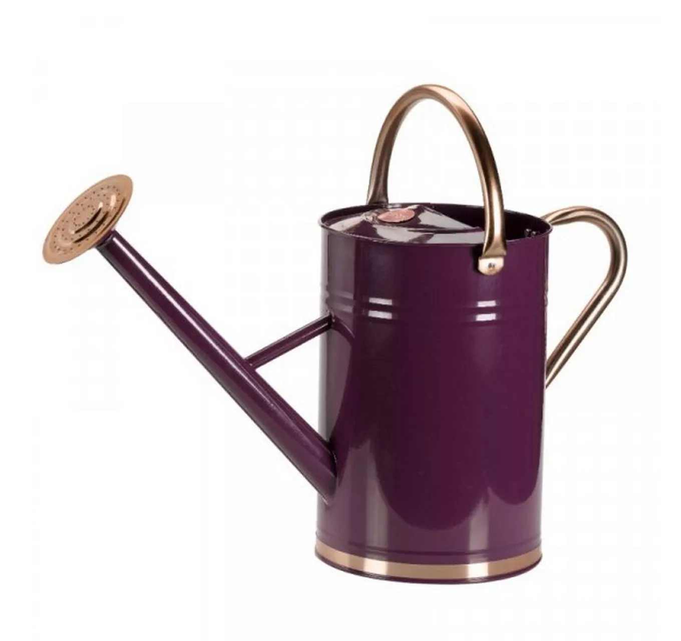 Watering Can - Violet 4.5L
