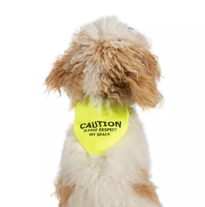 Warning Bandana Yellow