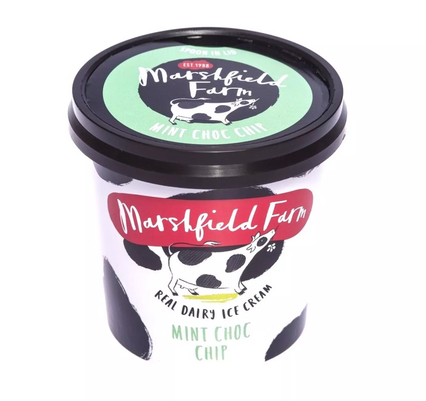 Mint Chocolate Chip 125ml