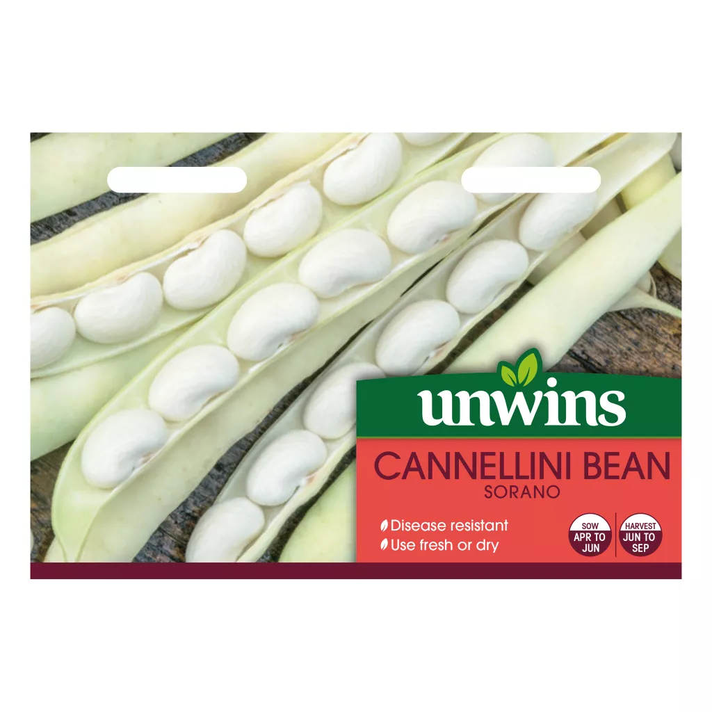 Unwin