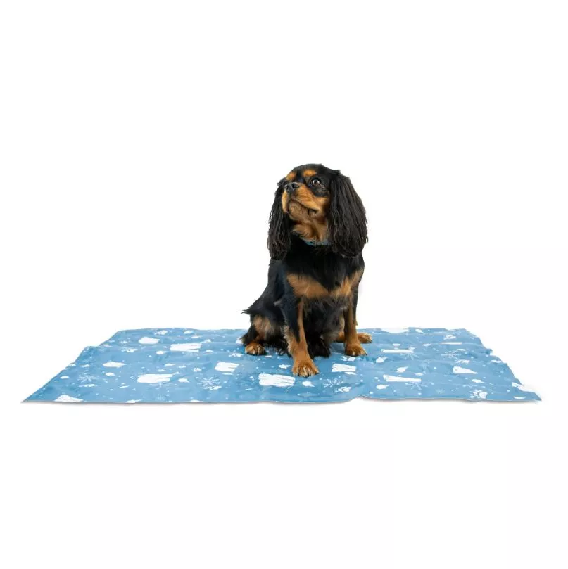 Cooling Mat 60x90cm (L)