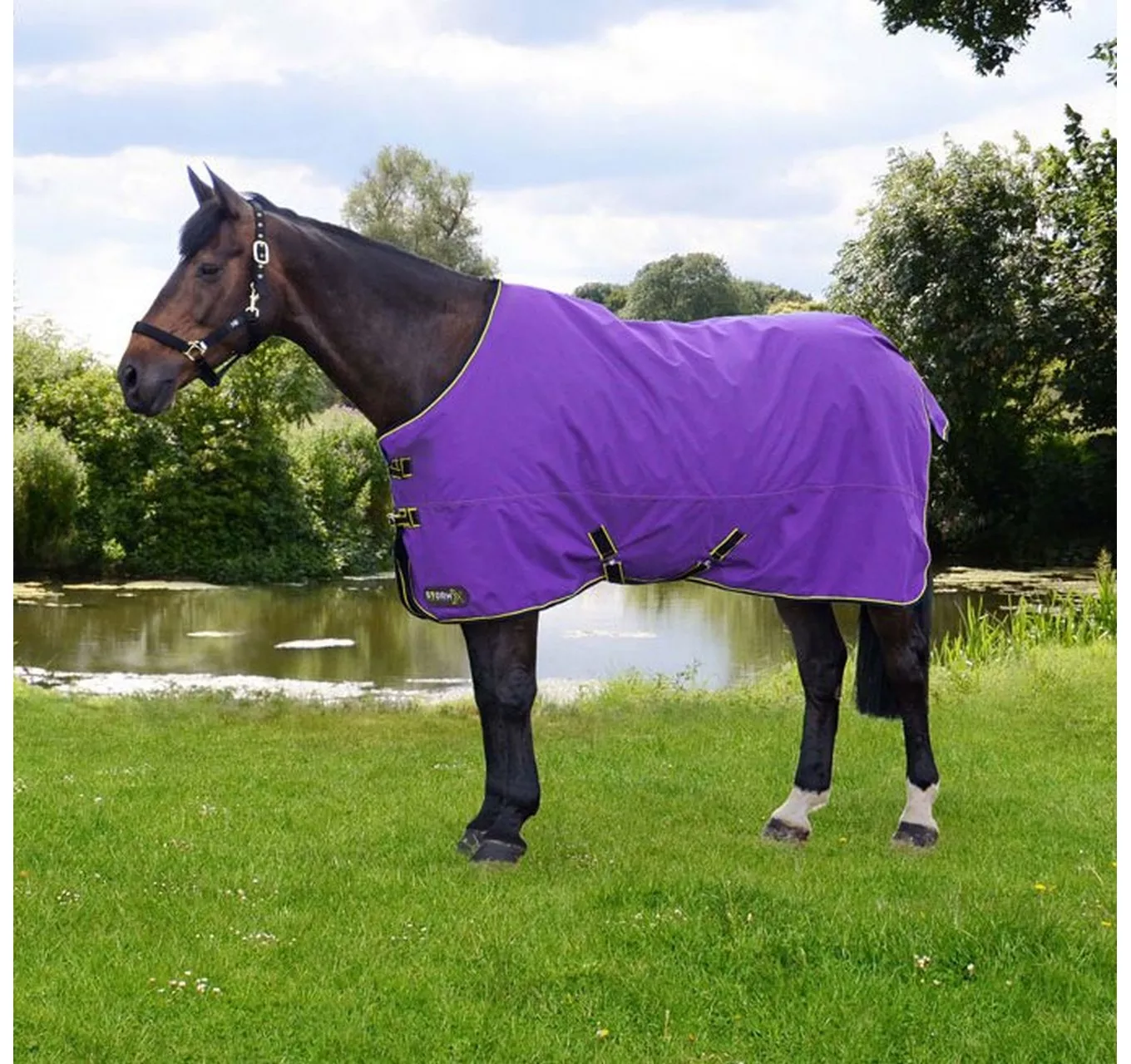 StormX 50 Turnout Purple