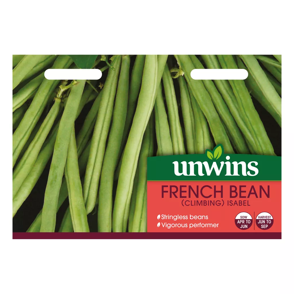 French Bean Isabel (Climbing)