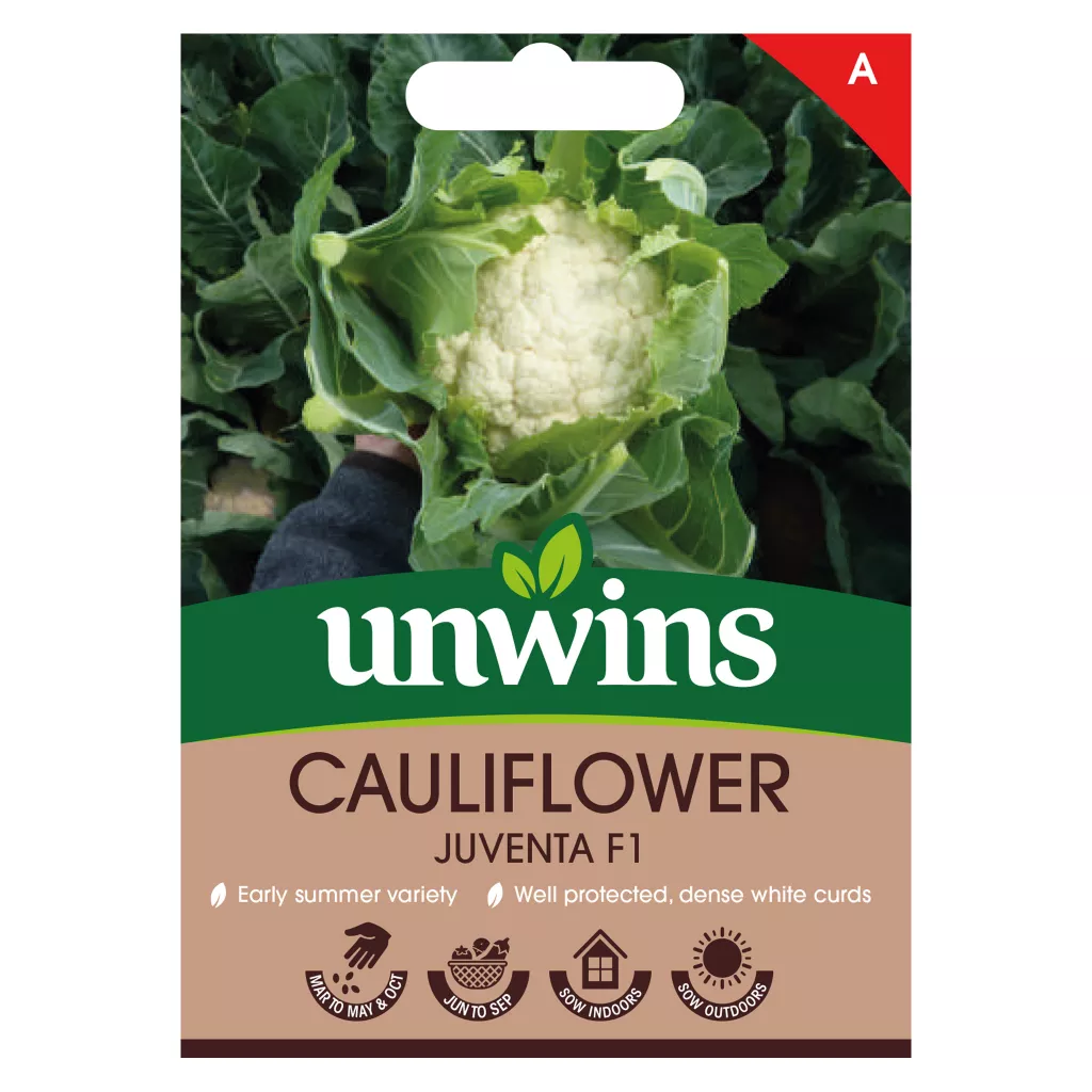 Unwin