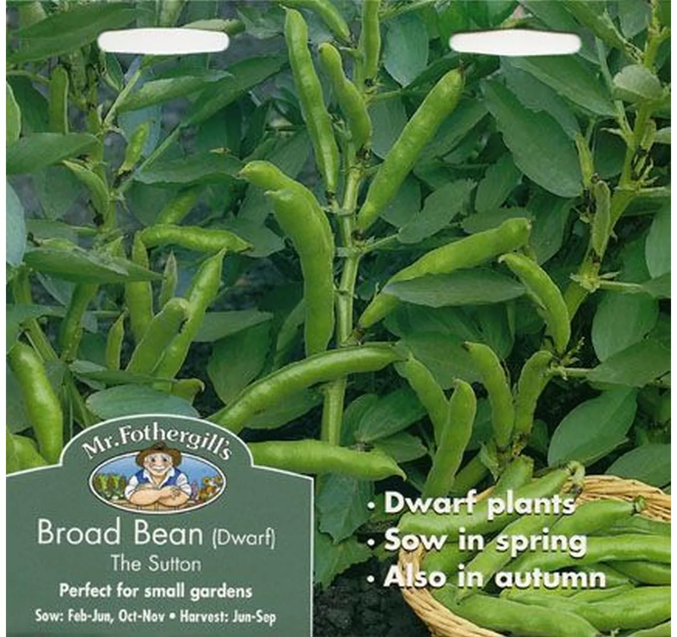 Broad Bean The Sutton