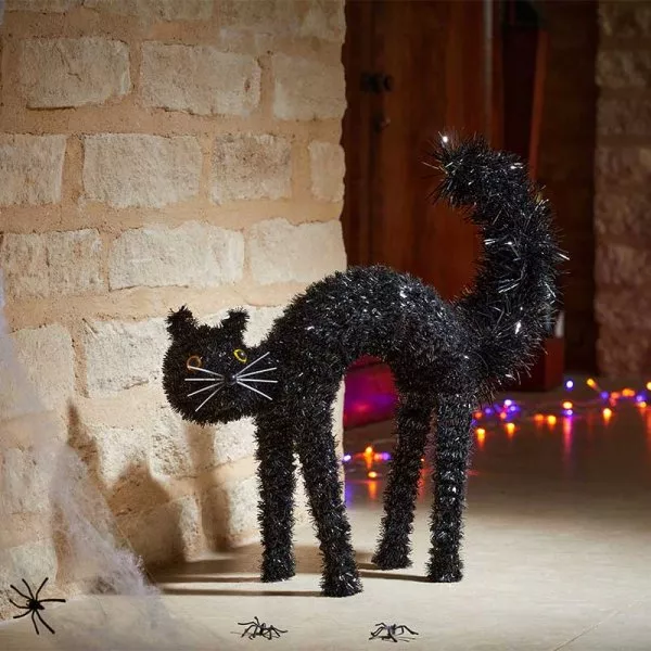 Halloween Scaredy-Cat