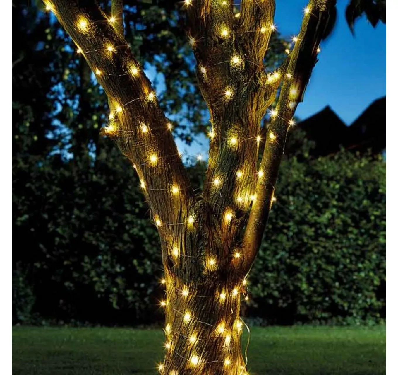 Firefly Solar String Lights 100 Warm White LED