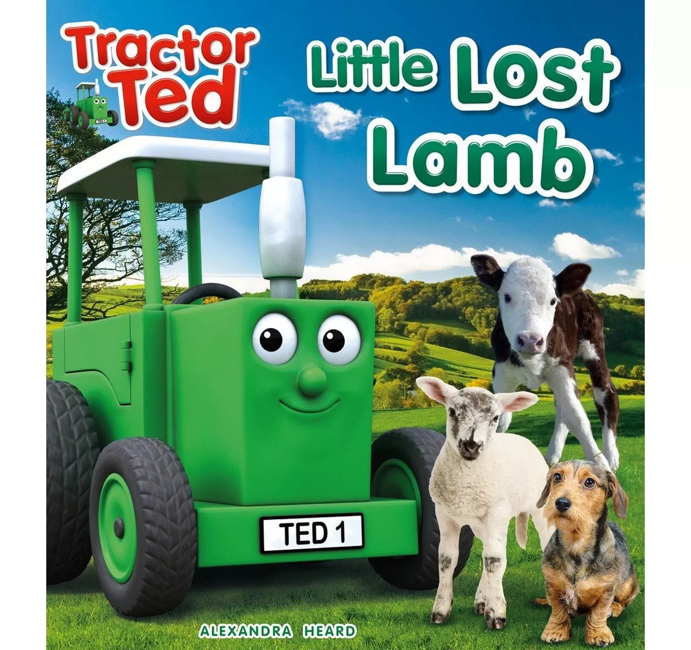 Little Lost Lamb Book