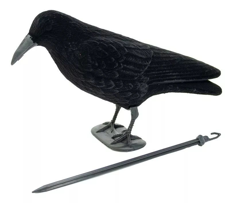 Decoy Economy Crow with Legs & Stake