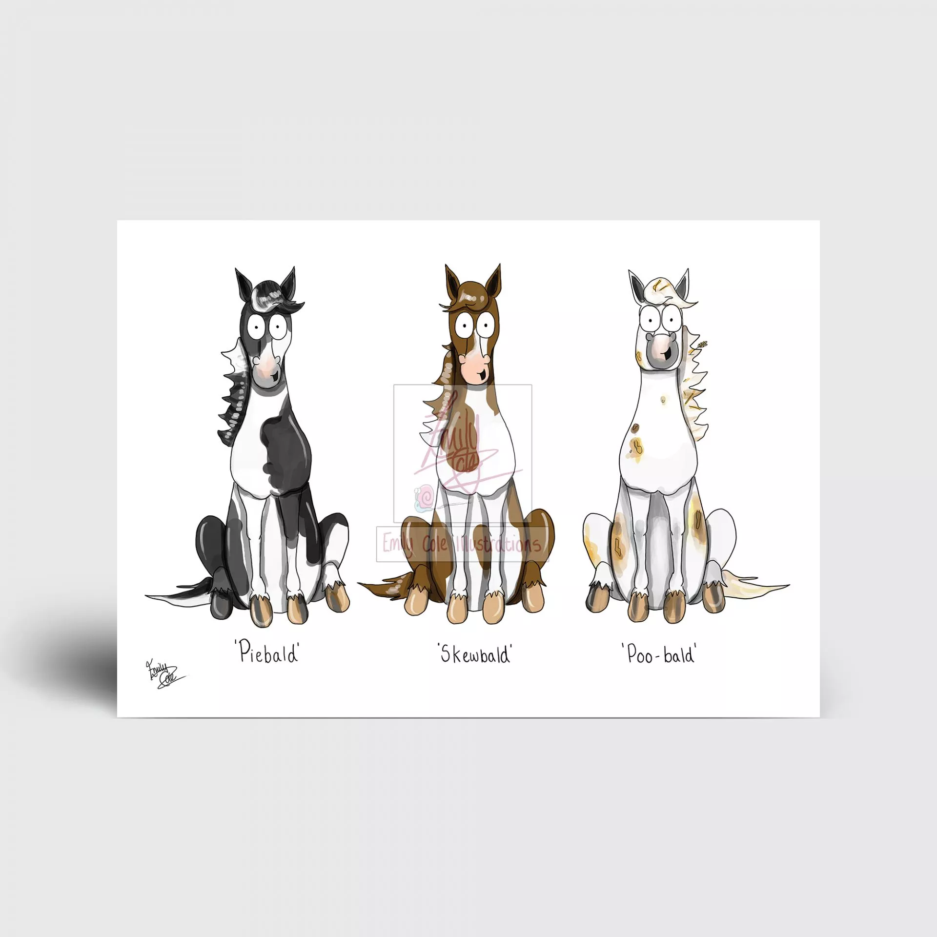 ‘Poo-bald’ Greeting Card
