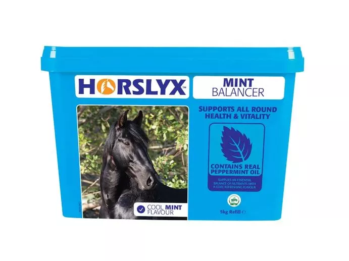 Horslyx Mint Balancer Lick 5kg