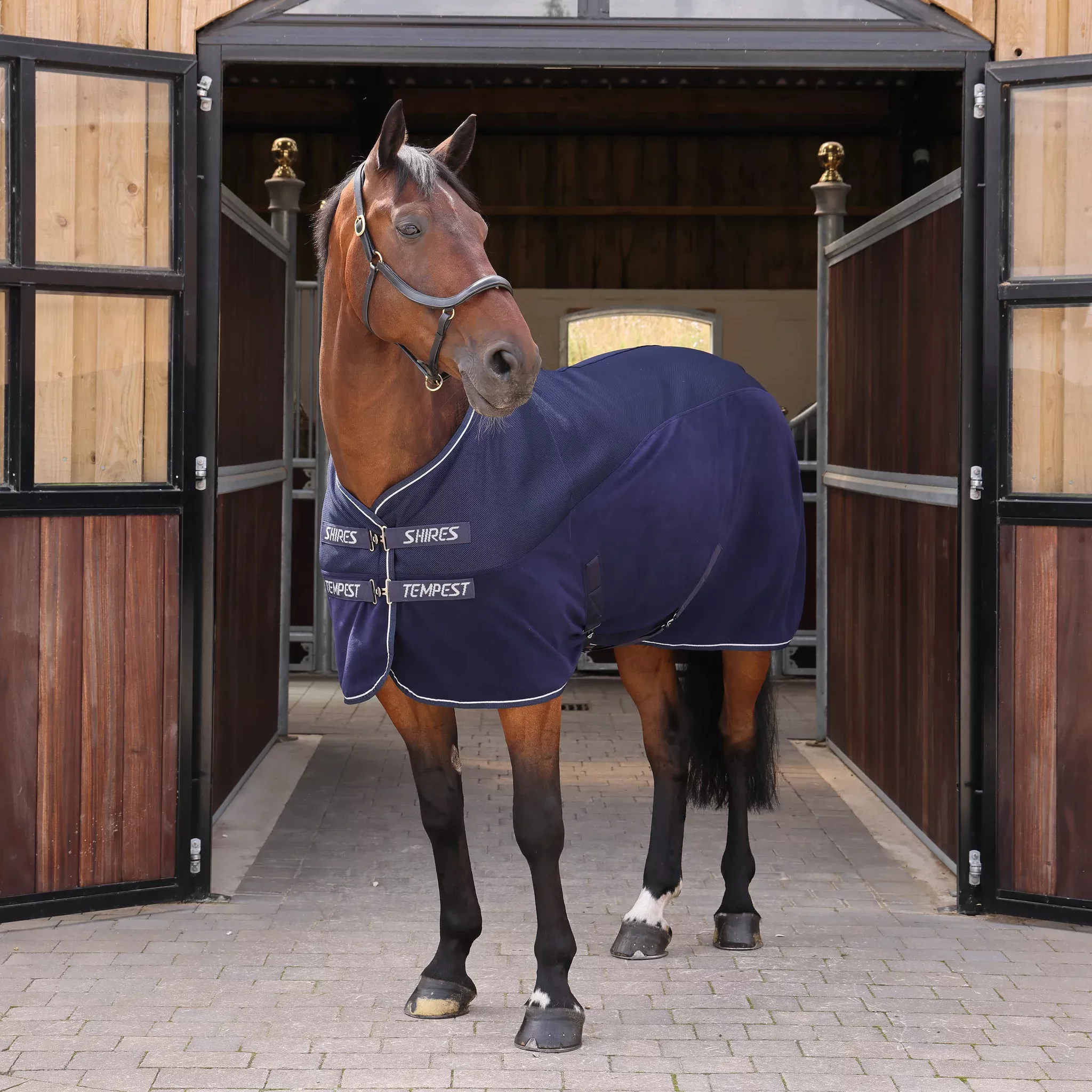Tempest Original Air Motion Cooler Rug Navy
