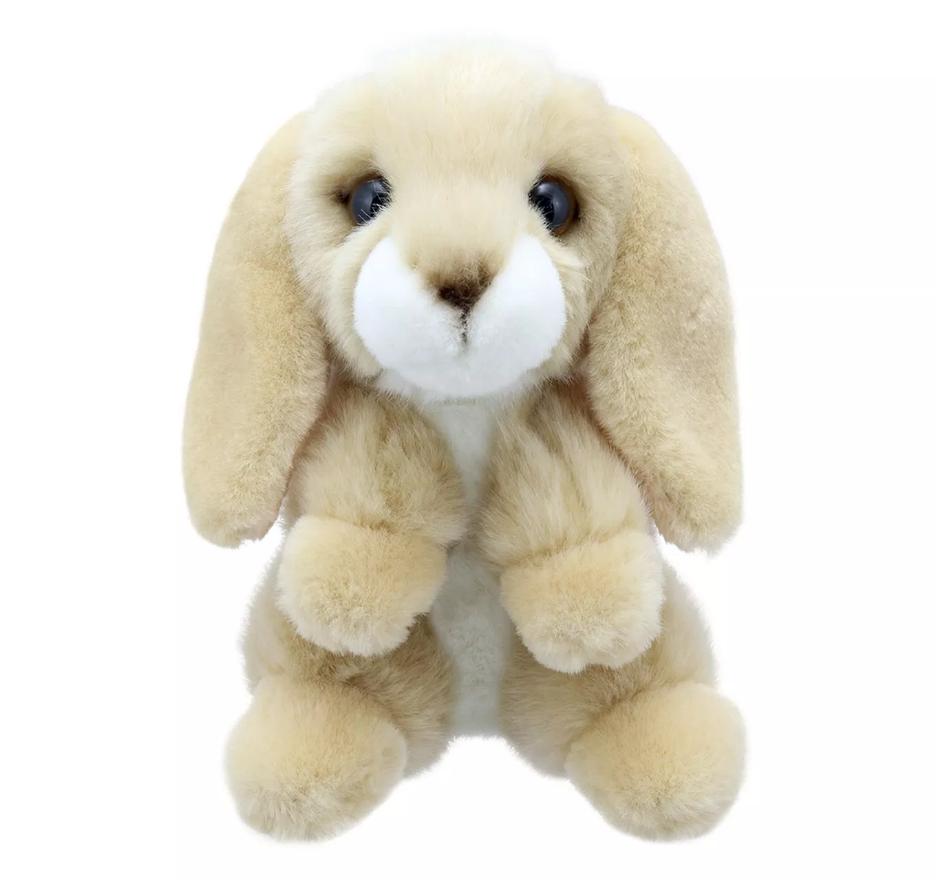Minis - Lop Eared Rabbit