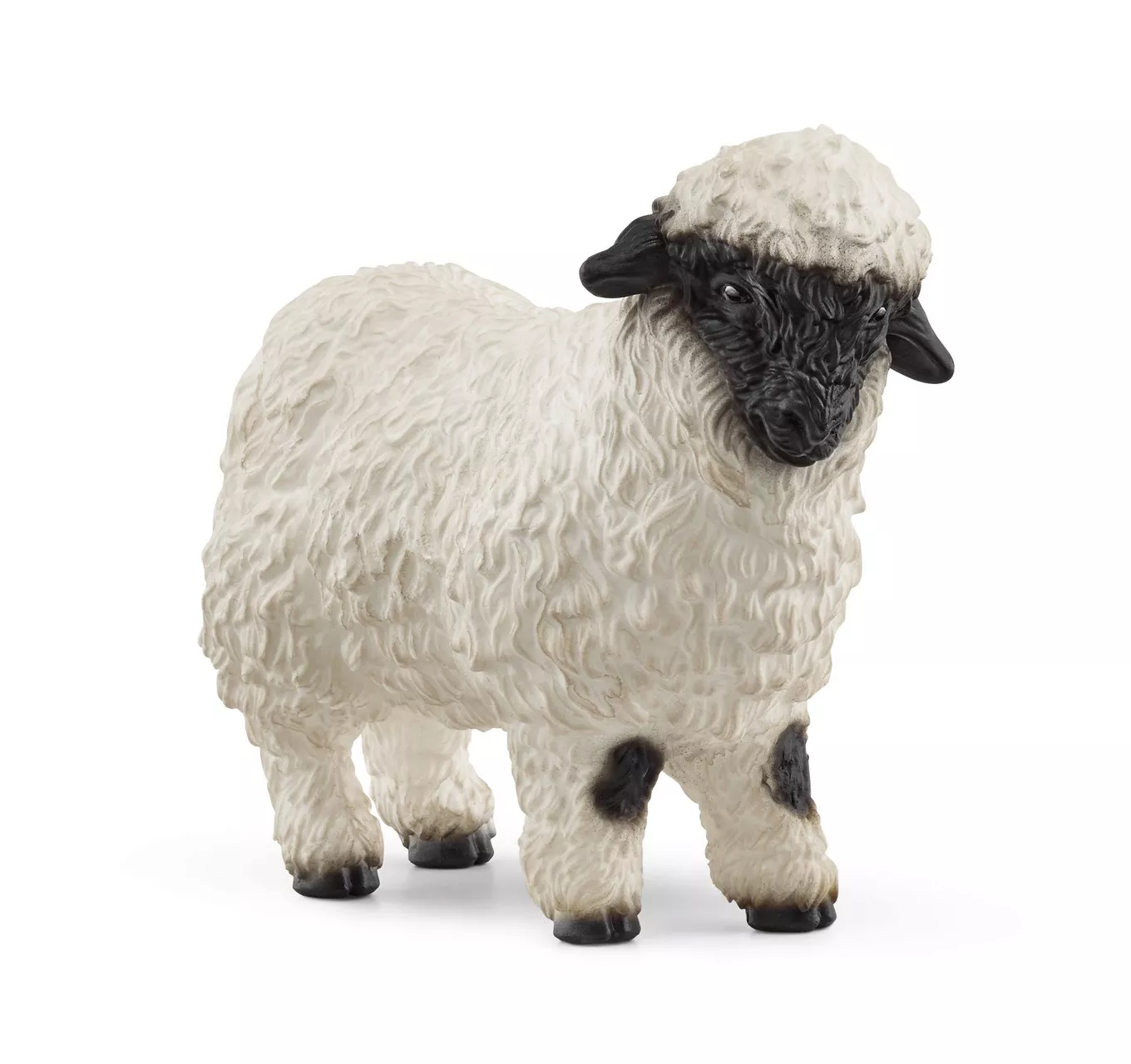 Valais Black-Nose Sheep