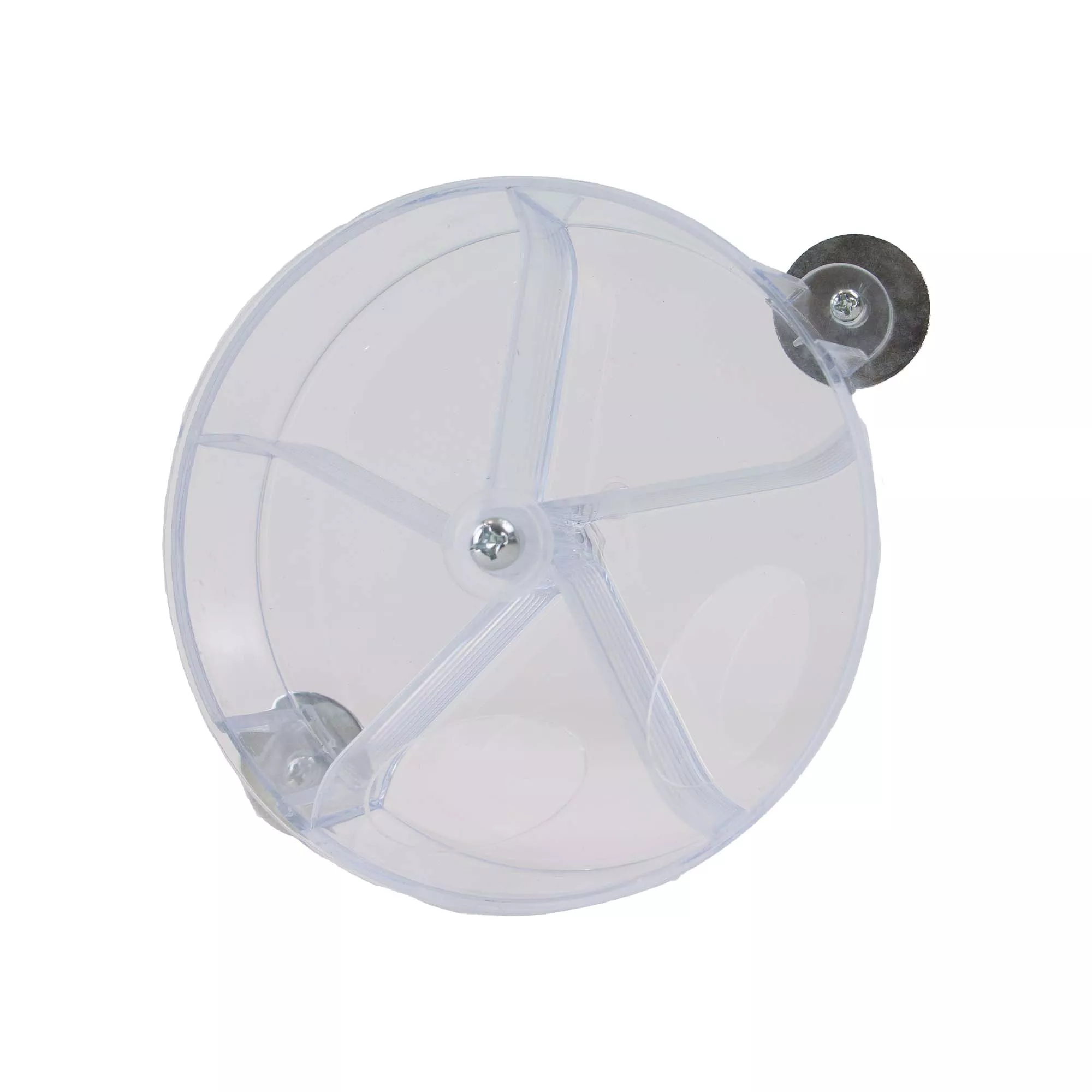 Foraging Puzzle
