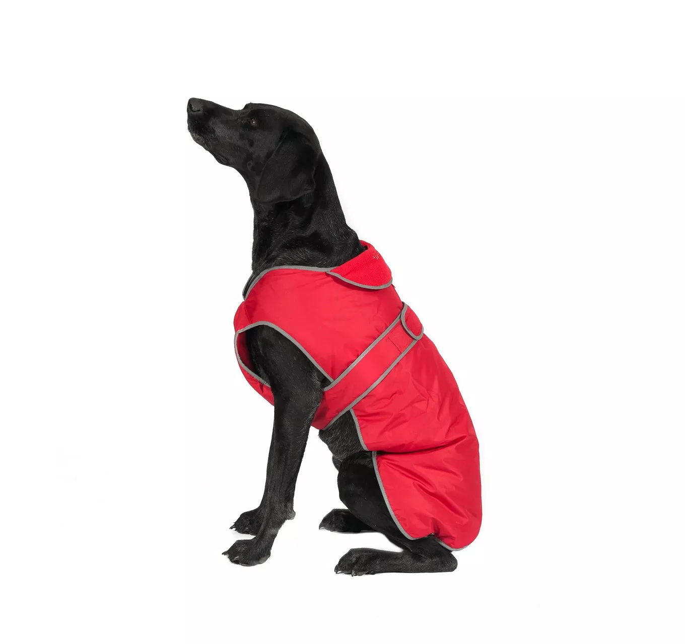 Stormguard Dog Coat Red S