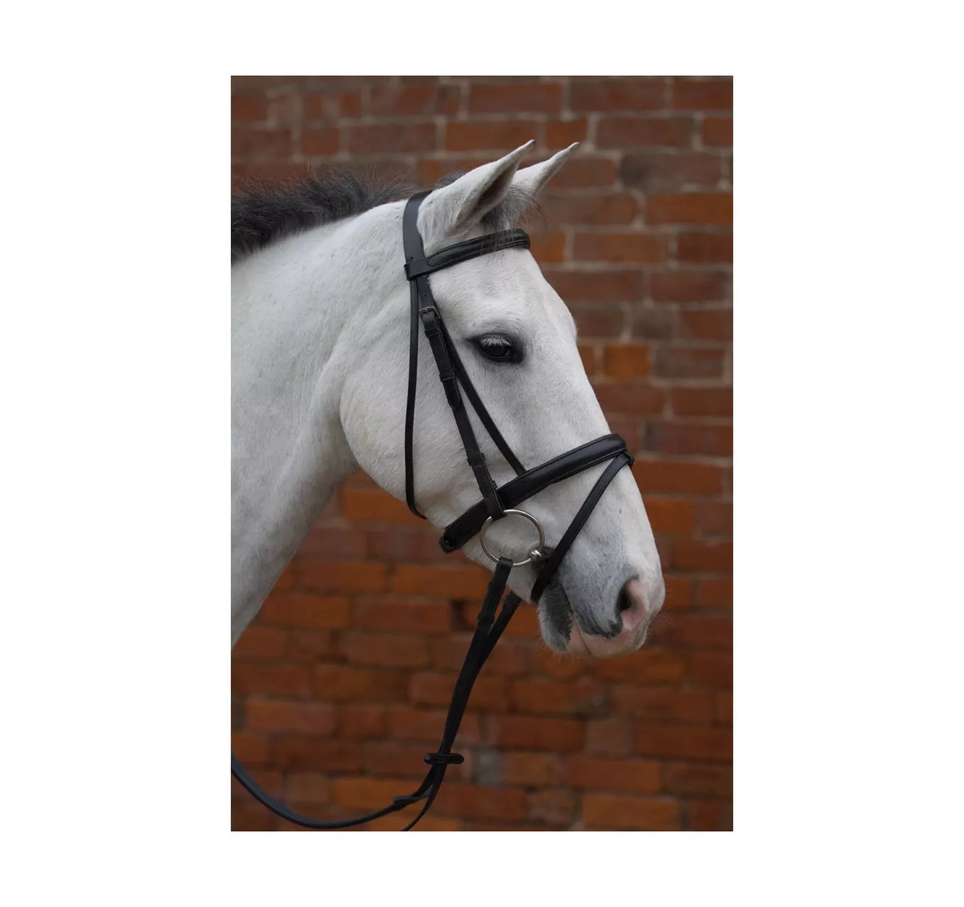 Padded Flash Bridle Brown Pony
