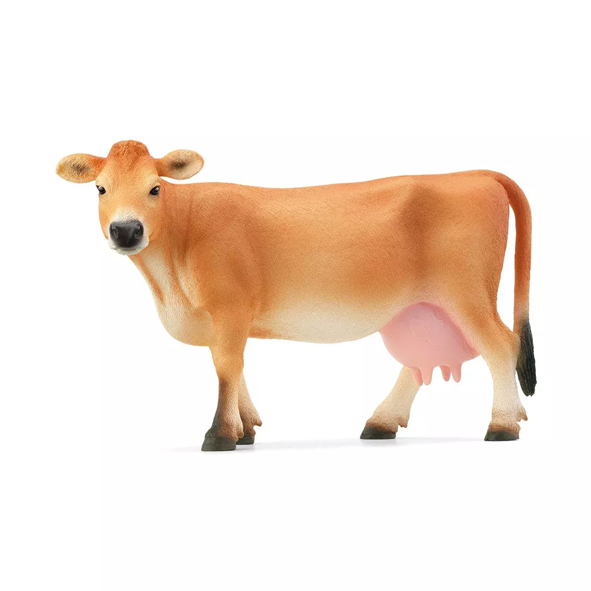 Jersey Cow