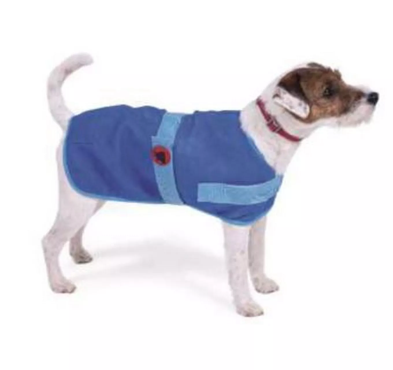 Cooling Dog Coat