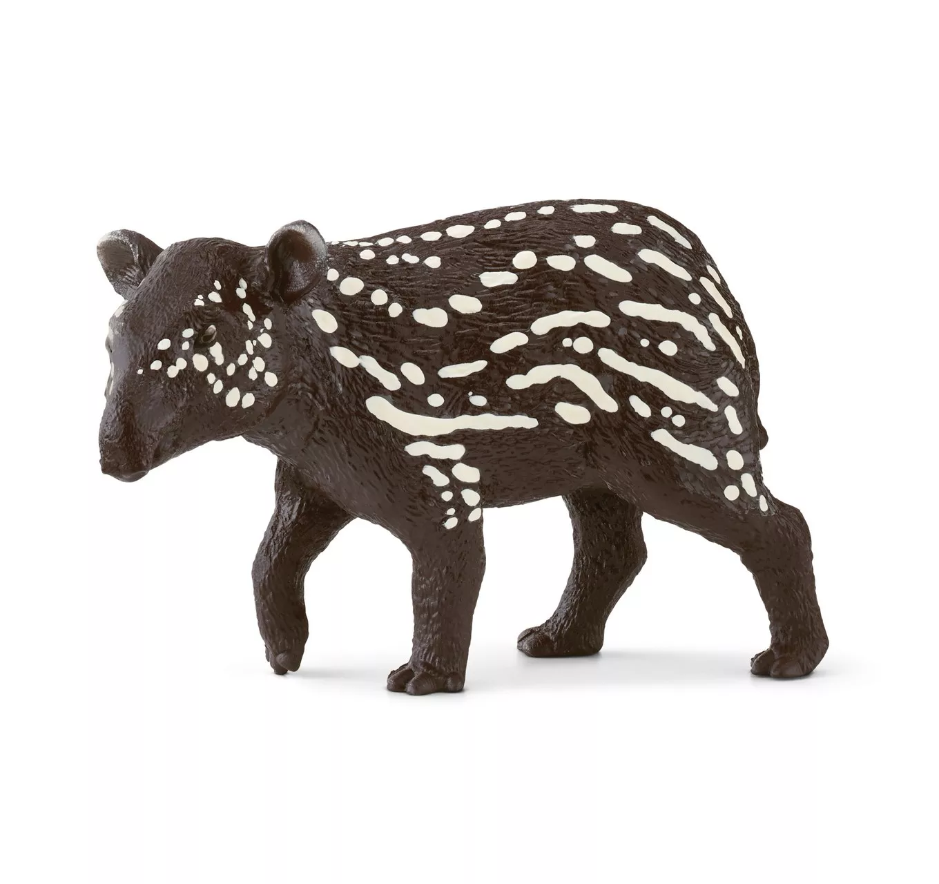 Tapir Baby