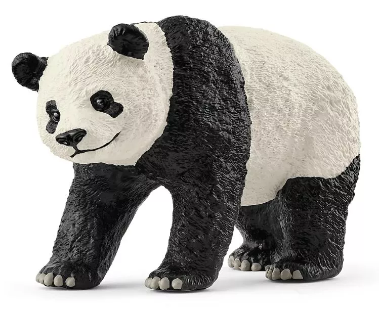 Giant Panda